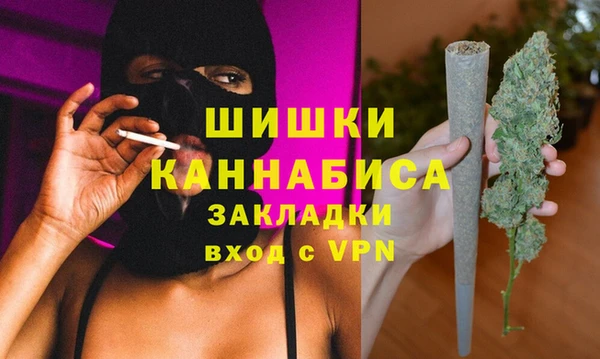 стаф Бронницы