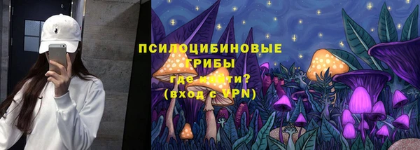 альфа пвп Бородино