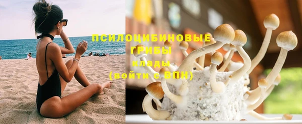 ГАЛЛЮЦИНОГЕННЫЕ ГРИБЫ Бугульма