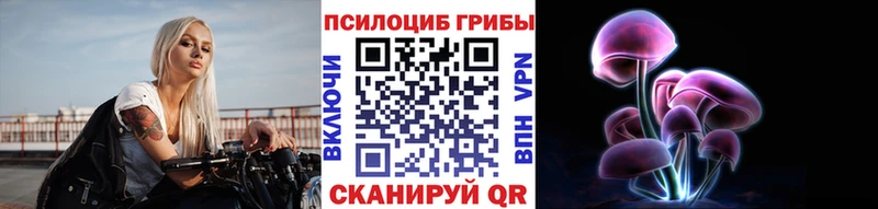 blacksprut ссылки  Туран  Галлюциногенные грибы Psilocybe  наркота 